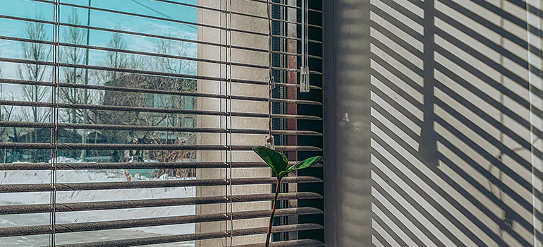 Commercial Window Blinds in North Miami Beach, FL