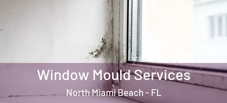  Window Mould Services North Miami Beach - FL